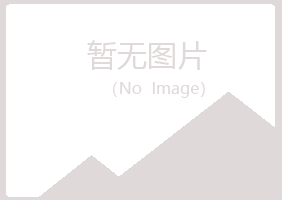 青岛黄岛雨韵因特网有限公司